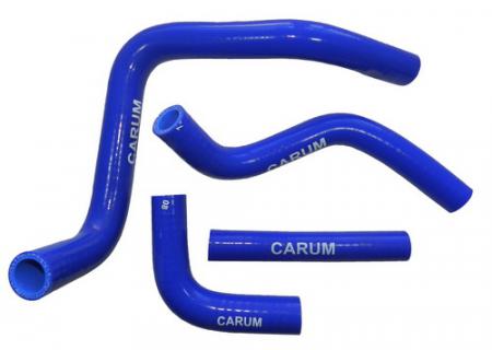 CARUM 31608120000    PATRIOT  ( ) (- 4) CARUM 31608120000