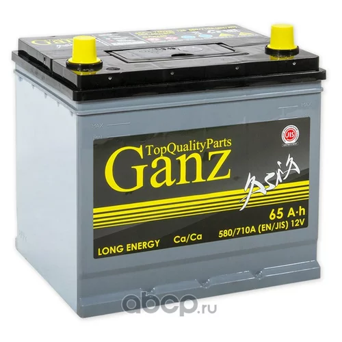  GANZ ASIA 65 /  232X175X225 EN580  GANZA 65-3-R