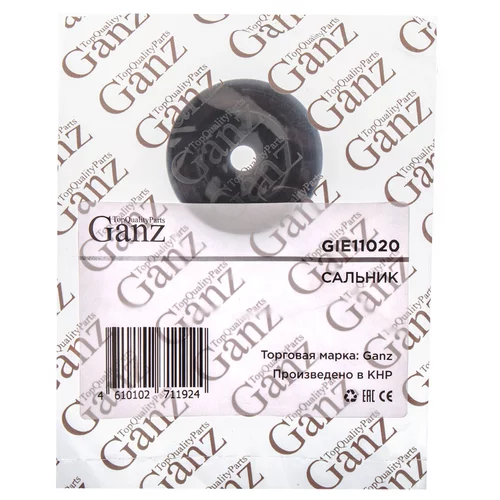  AD VW GANZ GIE11020 GIE11020