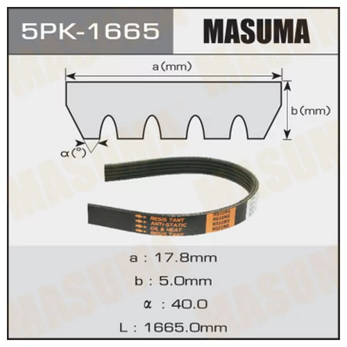   MASUMA 5PK-1665 5PK1665