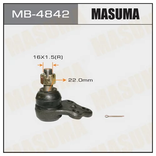    MASUMA   FRONT LOW R50 MB-4842