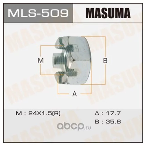     MASUMA  24X1,5X17,6/ 36              12  MLS-509