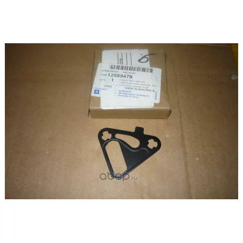 GASKET-TMG CHAIN HSG 12589478