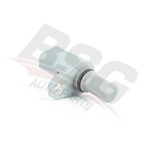    BSG 30-840-025 Basbug