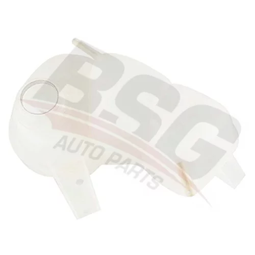   BSG65-550-005