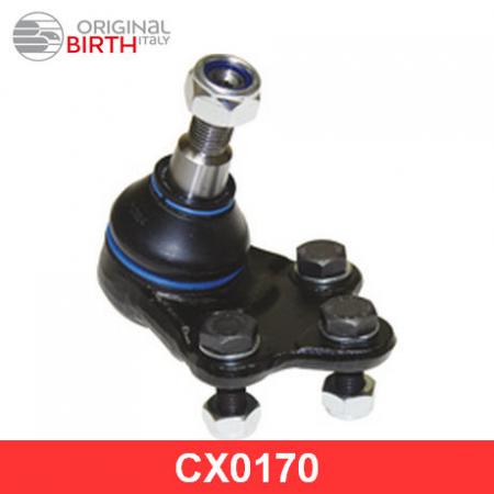   |  / | CX0170 Birth