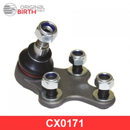   CX0171 Birth