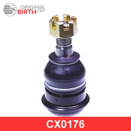   CX0176 Birth