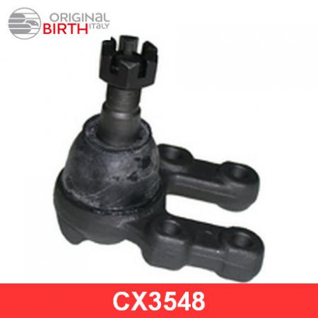   |  / | CX3548 Birth