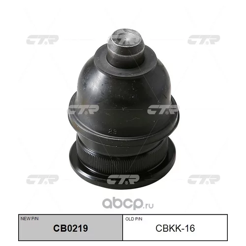 (  CBKK-16)    . CB0219