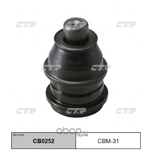 (  CBM-31)    . CB0252