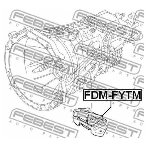    FDM-FYTM