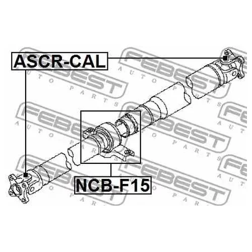     NCB-F15