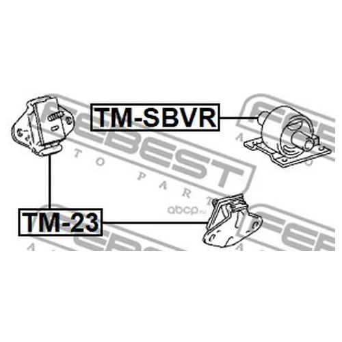    TM-SBVR