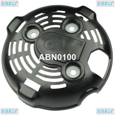    ABN0100