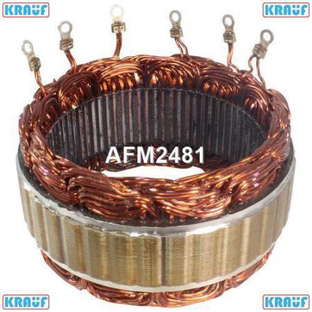   AFM2481