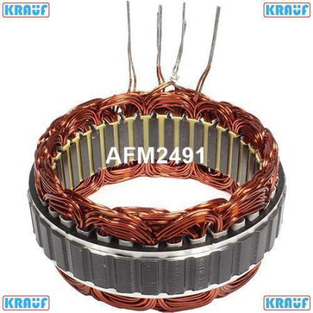   AFM2491