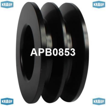   APB0853