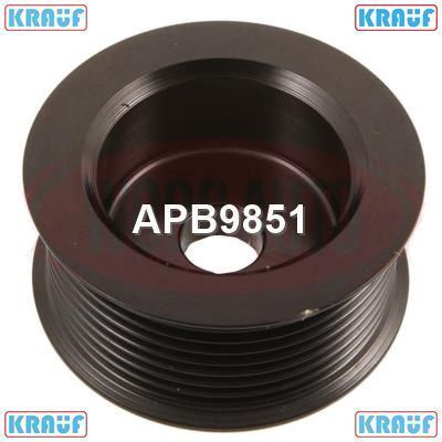   APB9851