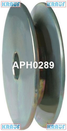   APH0289