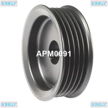   APM0091