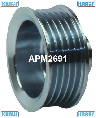   APM2691