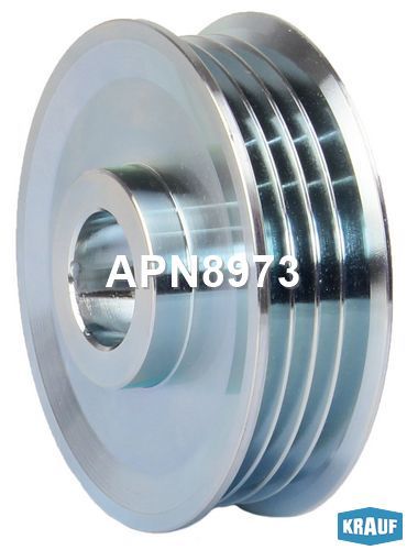   APN8973