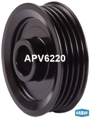   APV6220