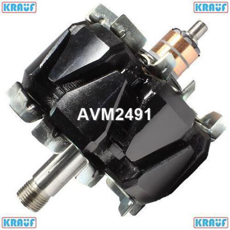   AVM2491