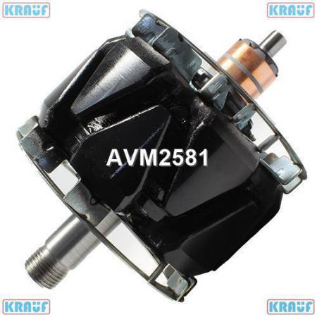   AVM2581