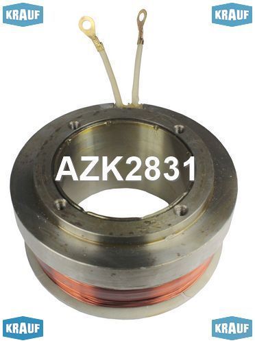    AZK2831