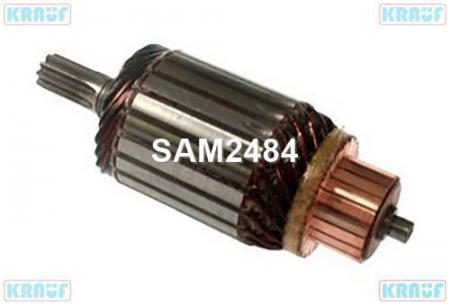   SAM2484