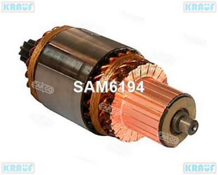   SAM6194