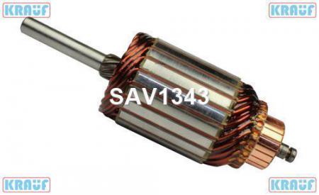   SAV1343