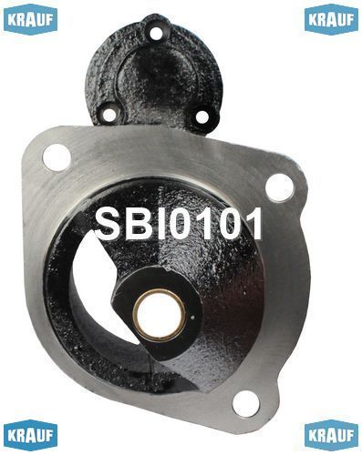    SBI0101