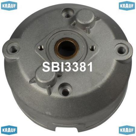    SBI3381