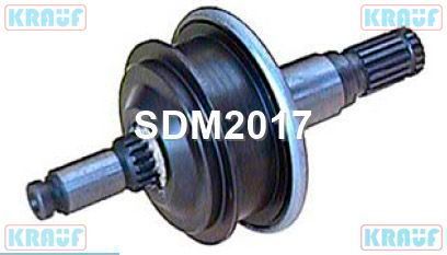   SDM2017