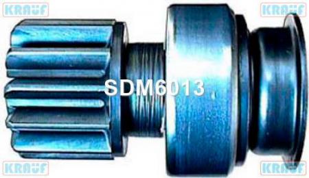   SDM6013