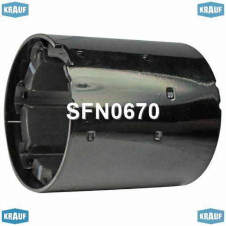     SFN0670