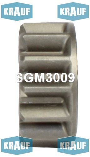   SGM3009