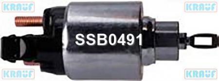    SSB0491