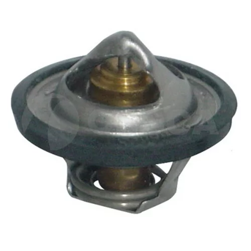  THERMOSTAT,79? 02544