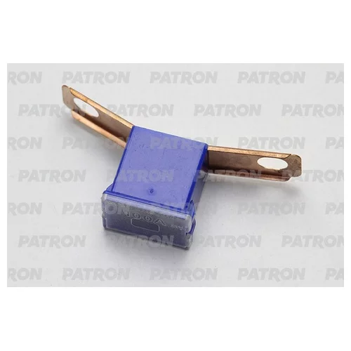   1 PLB FUSE (PAL295) 100A  48X12X21.5MM PFS140