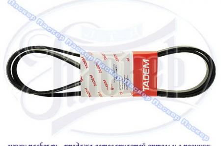   RENAULT LOGAN 8- .        5PK1747 8200833541