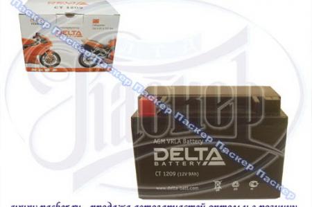  DELTA MOTO  1209  / YTX9-BS YTX9-BS