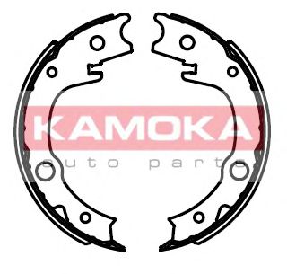      JQ212048 KAMOKA