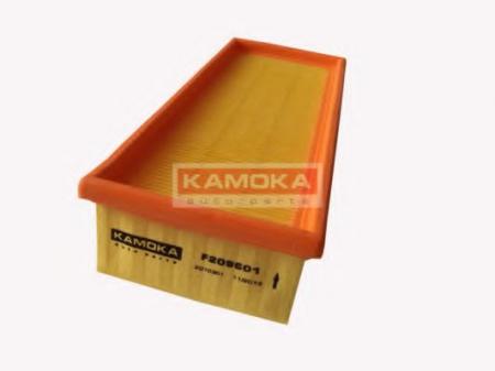   F209601 KAMOKA