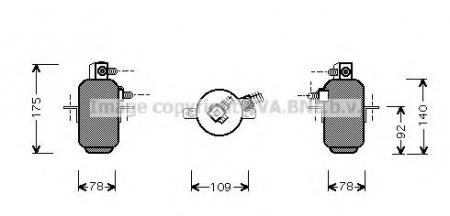   MSD081