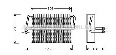   W220  L.H.D 01/00-07/02 MSV326 AVA