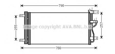  AVA OL5612